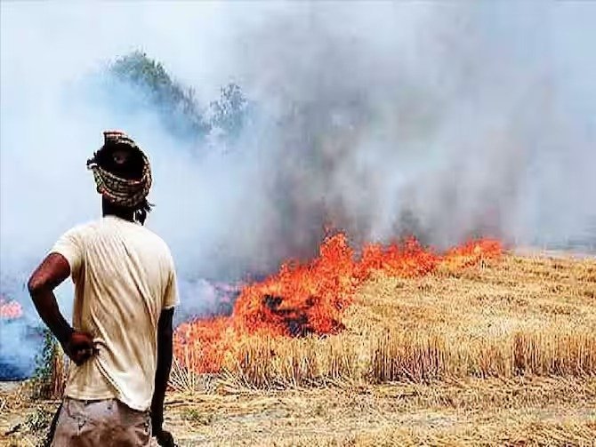 यूपी में प्रदूषण की जगह आय का स्रोत बनेगी पराली,सीएनजी और जैविक खाद के उत्पादन से सुधरेगी सेहत